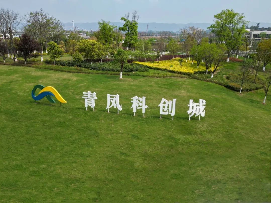 重庆沙坪坝多个压铸重点项目建设进度加快