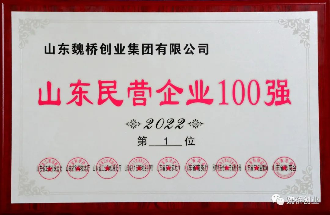 魏桥创业集团连续12年位居山东民营企业百强首位！
