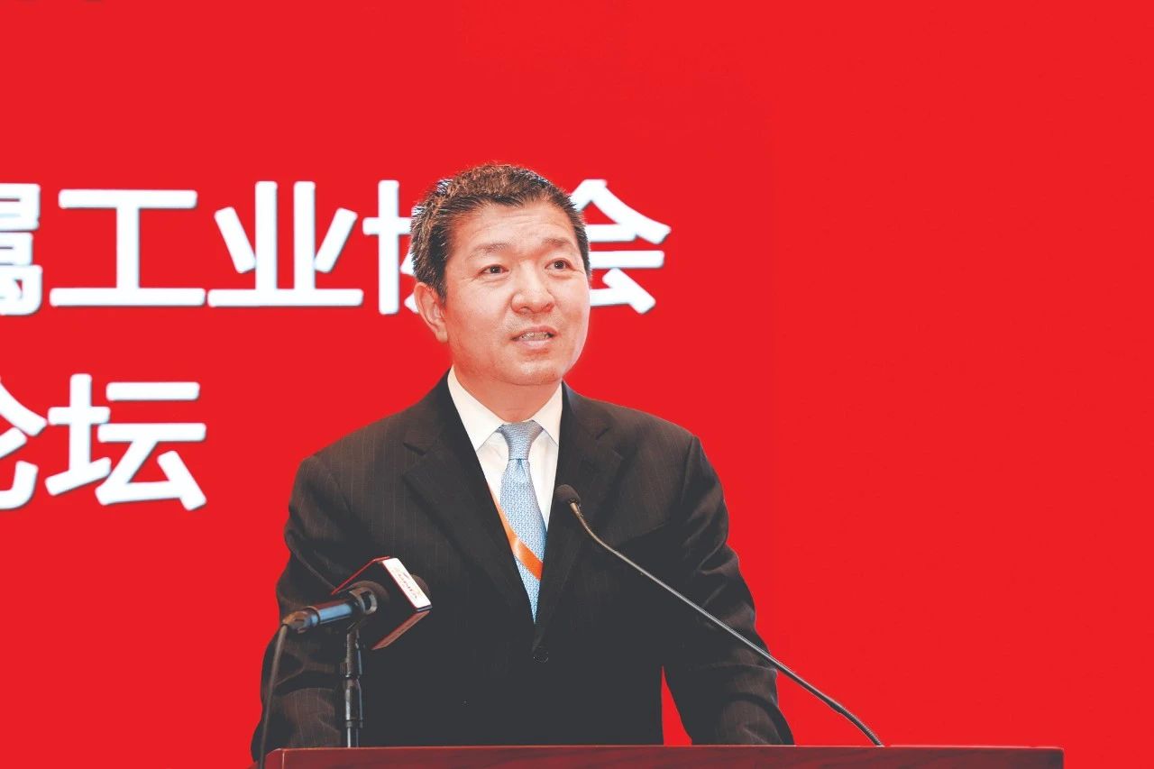 姚林：共同开创有色行业高质量发展新局面