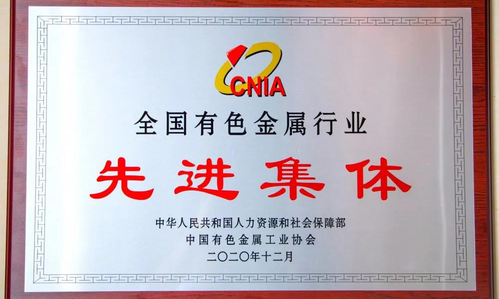 行业先进集体，大国品牌，为新河点赞