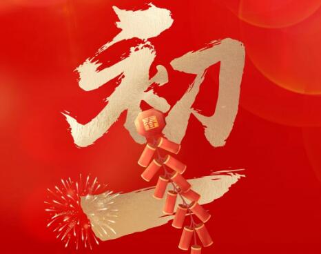 大年初一，龙行好运！赛福智能装备麦董给您拜年啦！