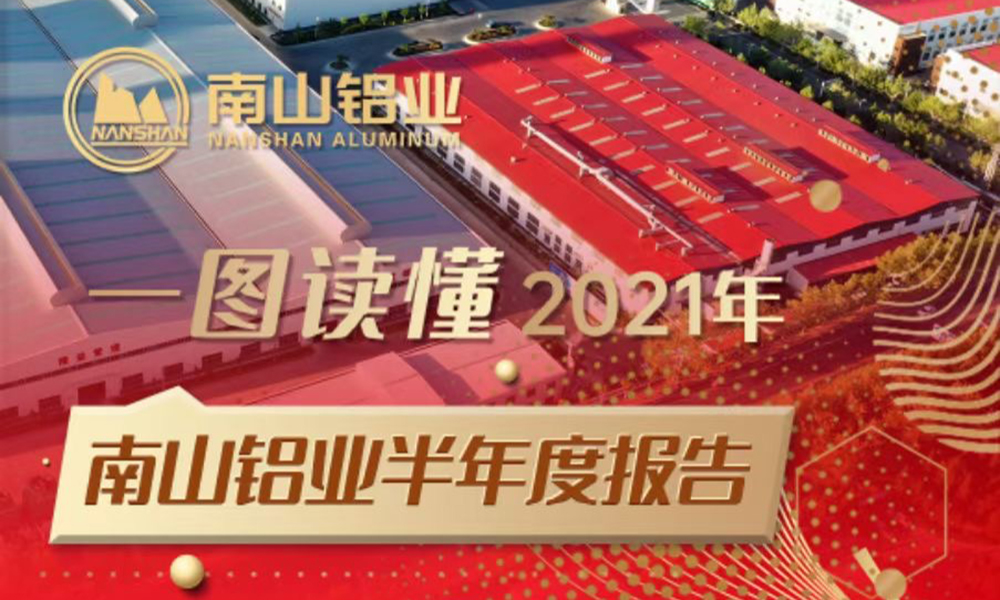 一图读懂2021年南山铝业半年度报告