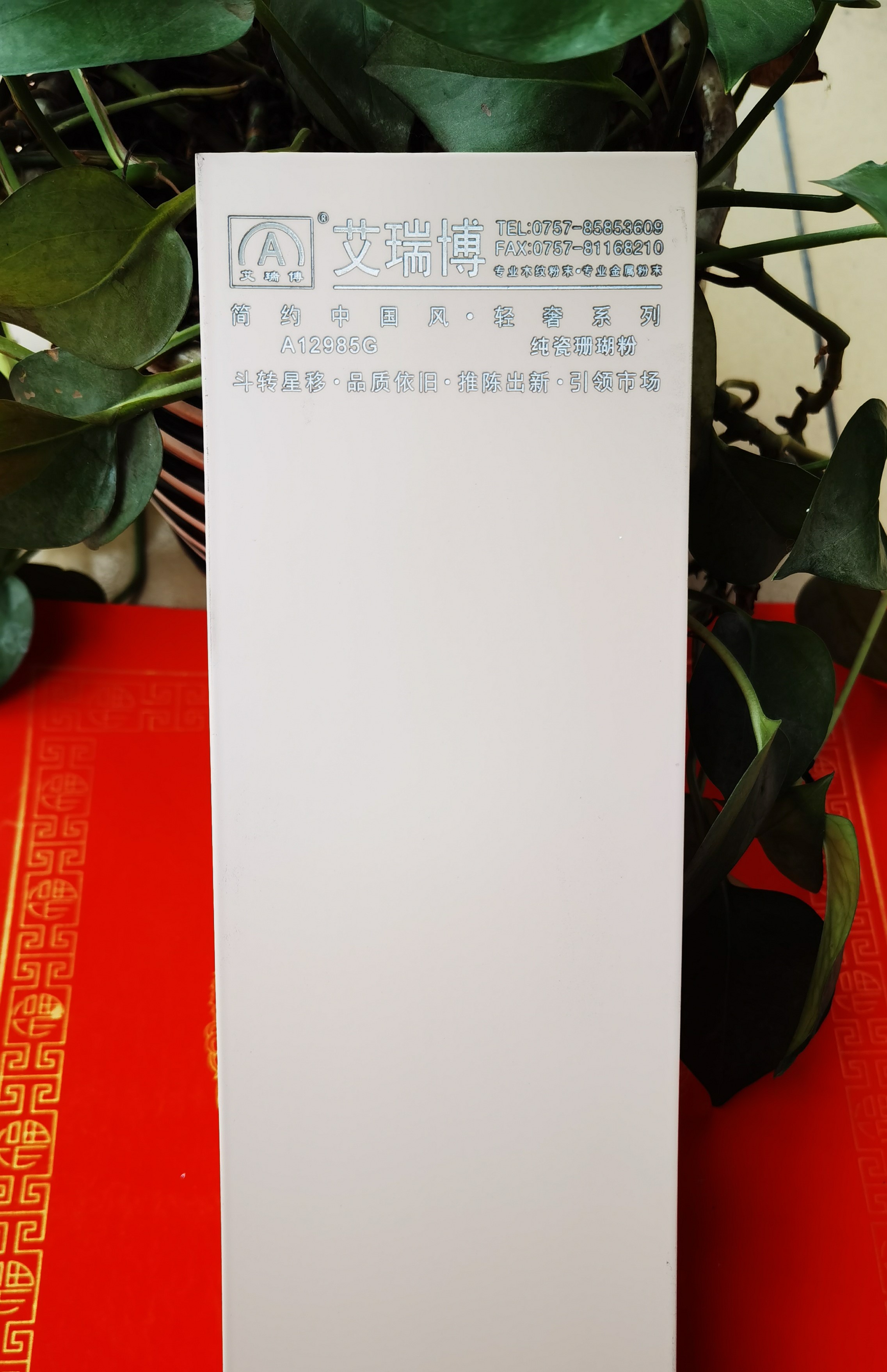 A12985G纯瓷珊瑚粉.jpg