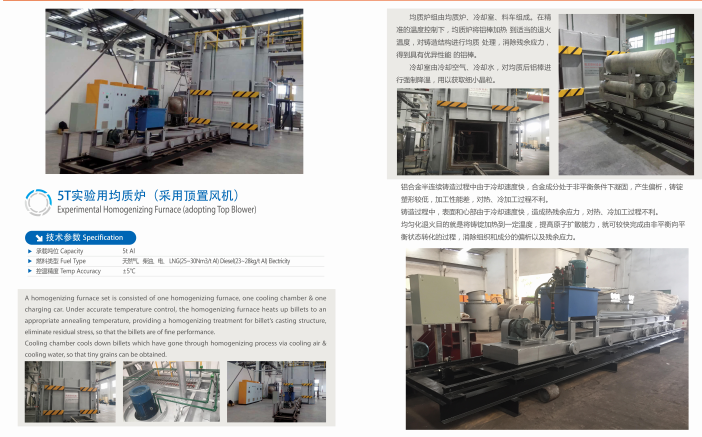 5T实验用均质炉（采用顶置风机）.png