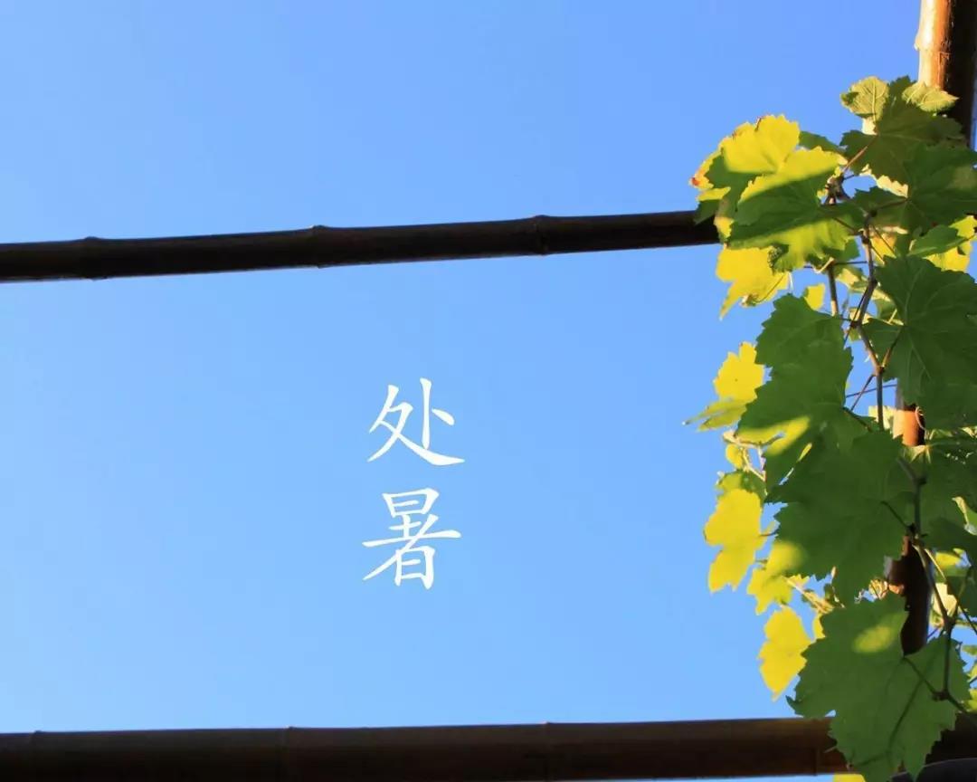 微信图片_20210818100905.jpg