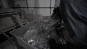 cucucu(7).gif