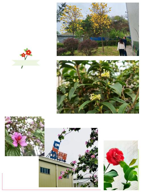 微信截图_20240325104822.png