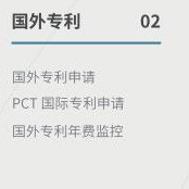 国外专利