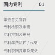 国内专利